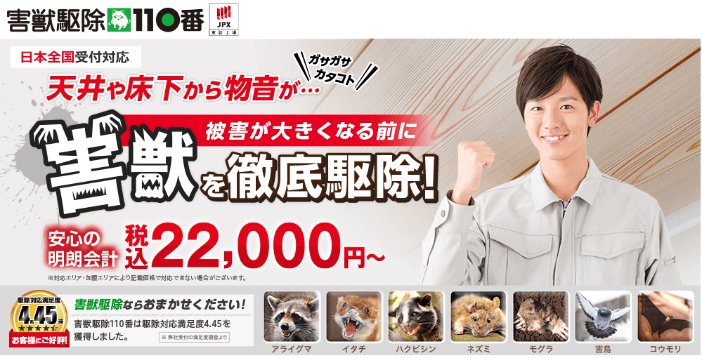 害獣駆除110番の料金体系・加盟店の選び方を口コミ（評判）から完全解説