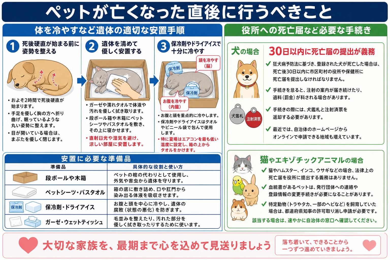 ペットが亡くなった直後に行うべき安置方法と準備